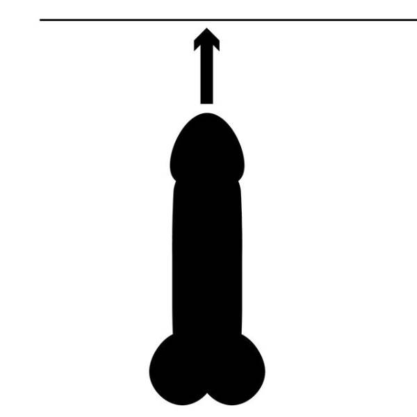 Pênis com 13 a 17 cm