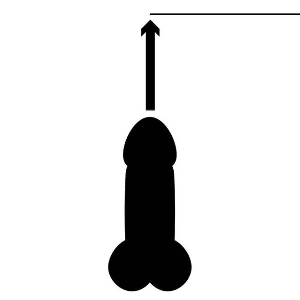 Pênis com Até 13 cm